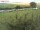 Webcam on Fehmarn, 4.2 mi away