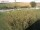 Webcam sur Fehmarn, 86 km