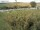Webcam in Fehmarn, 93.4 km