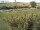 Webcam sur Fehmarn, 50.8 km