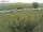 Webcam on Fehmarn, 21.2 mi away