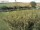 Webcam in Fehmarn, 4.9 km