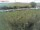 Webcam sur Fehmarn, 12.4 km