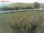Webcam sur Fehmarn, 13.5 km