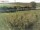 Webcam auf Fehmarn, 4.9 km entfernt