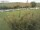 Webcam on Fehmarn, 1.9 mi away