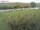 Webcam on Fehmarn, 16.3 mi away