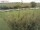 Webcam auf Fehmarn, 0.5 km entfernt