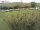 Webcam on Fehmarn, 33.2 mi away