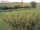 Webcam on Fehmarn, 25.7 mi away