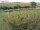 Webcam on Fehmarn, 15 mi away