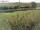 Webcam su Fehmarn, 38.9 km