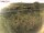 Webcam auf Fehmarn, 14.5 km entfernt