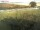 Webcam sur Fehmarn, 13.5 km