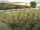 Webcam in Fehmarn, 13.5 km