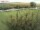 Webcam in Fehmarn, 13 km