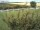 Webcam in Fehmarn, 38.9 km