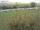 Webcam in Fehmarn, 28 km