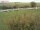 Webcam in Fehmarn, 28 km