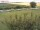 Webcam auf Fehmarn, 0.5 km entfernt