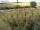 Webcam sur Fehmarn, 50.8 km