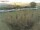 Webcam on Fehmarn, 4.8 mi away