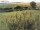 Webcam on Fehmarn, 4.8 mi away