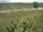 Webcam on Fehmarn, 11.3 mi away
