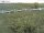 Webcam su Fehmarn, 13.2 km