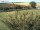 Webcam on Fehmarn, 4.8 mi away