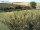 Webcam sur Fehmarn, 0.5 km