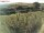 Webcam on Fehmarn, 19.6 mi away