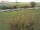 Webcam on Fehmarn, 11.3 mi away