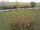 Webcam in Fehmarn, 29.3 km