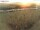 Webcam on Fehmarn, 4 mi away