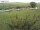 Webcam in Fehmarn, 3.9 km