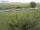 Webcam in Fehmarn, 29.3 km
