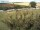 Webcam in Fehmarn, 10.3 km