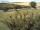 Webcam in Fehmarn, 10.3 km