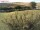 Webcam sur Fehmarn, 10.3 km