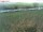 Webcam su Fehmarn, 13 km