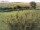 Webcam in Fehmarn, 13.8 km