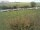 Webcam on Fehmarn, 5.8 mi away