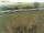 Webcam on Fehmarn, 36.6 mi away