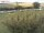 Webcam on Fehmarn, 5.2 mi away