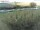 Webcam auf Fehmarn, 13.5 km entfernt