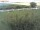Webcam on Fehmarn, 5.3 mi away