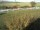 Webcam in Fehmarn, 66.4 km