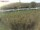 Webcam in Fehmarn, 0.5 km