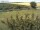 Webcam on Fehmarn, 36 mi away
